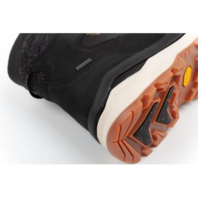 6. Herren-Trekkingstiefel Lowa Renegade Evo Ice 2 GORE-TEX hoch