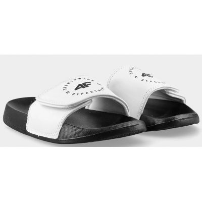 2. 4F Jr 4FJSS23FFLIF081 10S Flip-Flops