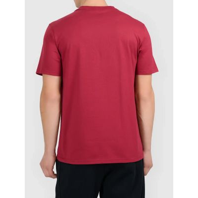 2. Herren-T-Shirt mit Aufdruck 4F 4FWAW26TTSHM3578-61S