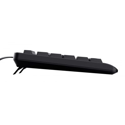 4. TRUST TK-150 TASTATUR US (23980)