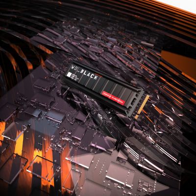 21. SSD WD Black SN8100 ohne HS 2TB WDS200T1X0M