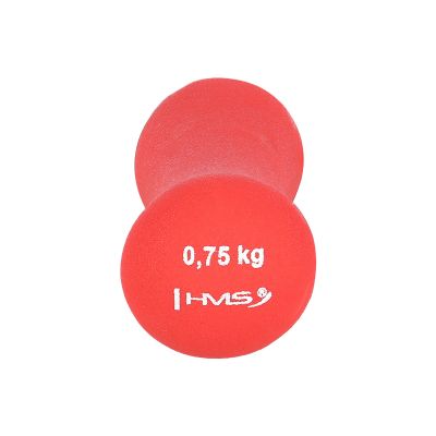 19. Neoprenbeschichtetes Gusseisengewicht 0,75 kg 17025