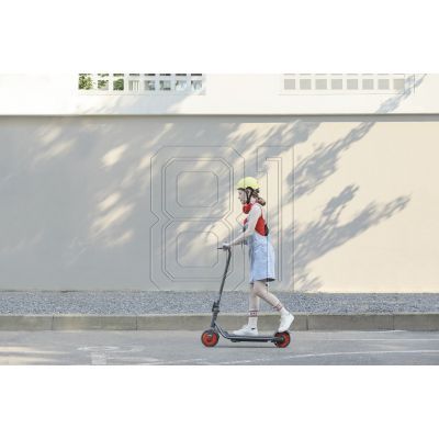 21. Segway-Elektroroller ZING C20