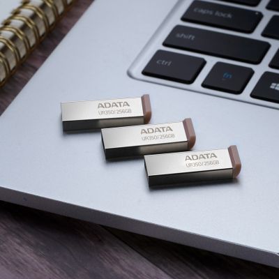 6. ADATA-Stick UR350 256 GB UR350-256G-RSR/BG