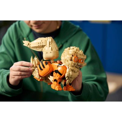 13. LEGO Pokémon 72160 – Arkanin