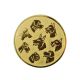 3. Aluminium-Einleger – Hunde