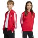 adidas Essentials Cimacool Kinder-Sweatshirt Rot KQ9728