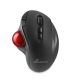 2. MediaRange MROS263 Maus, Home-Funktion, rechte Seite, USB Typ-C, Trackball, 2400 DPI