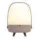Koody Lite-up Play 2.0 Earth Tragbare LED-Lampe mit integriertem JBL-Lautsprecher