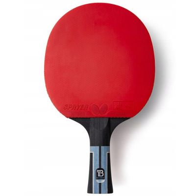 4. Butterfly Timo Boll Progress Racket