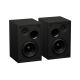 11. GENESIS ARSEN 302BT 2.0 LAUTSPRECHER SCHWARZ