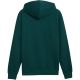 3. Puma ESS Small No. 1 Logo Hoodie Grün 692914 70