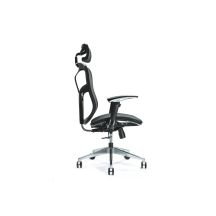 Ergonomischer Bürostuhl ERGO 500 schwarz