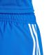 5. adidas Tastigo 25 M JN7159 Shorts
