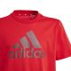 7. adidas Big Logo Tee Jr IJ6262