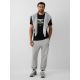 4. Herren-Regular-T-Shirt mit Print 4F 4FRAW26TTSHM4663-20S