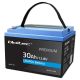 8. LiFePO4 Lithium-Eisenphosphat-Batterie 12,8 V 30 Ah 384 Wh BMS