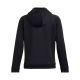 2. Under Armour Fleece Hoodie W 1386507-001
