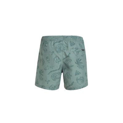 2. O'Neill Mix&Match Cali Print 15'' Badeshorts M 92800613869