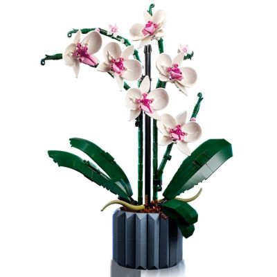 11. LEGO Icons 10311 - Orchidee