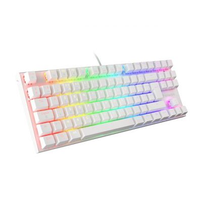 GENESIS THOR 303 TKL FR GAMING-TASTATUR RGB-HINTERGRUNDBELEUCHTUNG MECHANISCH BRAUN WEISS HOT SWAP