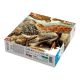 4. Good Loot Fantasie-Puzzle: Ernst Haeckel Chelonia – Meeresschildkröten, 1000 Teile