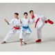 19. Karate WKF BLAU Schienbein- und Fußschützer | MOOTO