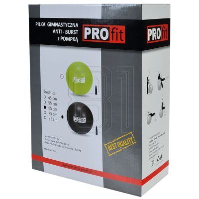 2. PROfit Gymnastikball 75cm Schwarz mit Pumpe DK2102