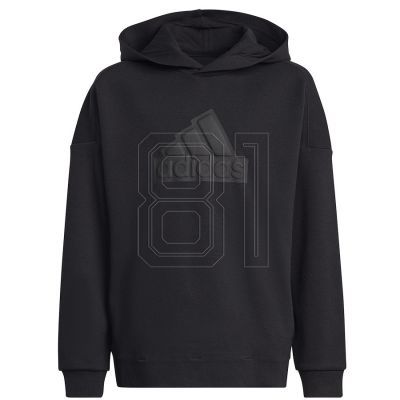 adidas FI Logo HD Jr HR6301 Sweatshirt