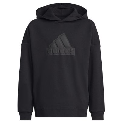 adidas FI Logo HD Jr HR6301 Sweatshirt