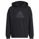 adidas FI Logo HD Jr HR6301 Sweatshirt