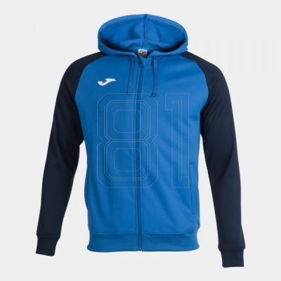 Joma Academy IV Kapuzenjacke mit Reißverschluss 101967.703