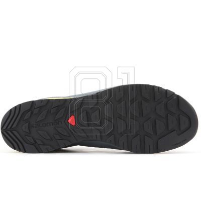 8. Salomon X Alp SPRY GTX M 401621 Schuhe
