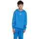 4. adidas Essentials Hoodie für Kinder blau KD3382