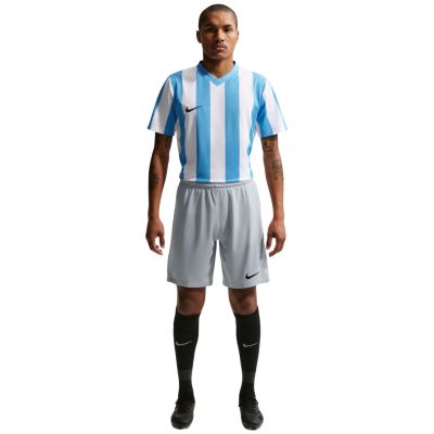6. Herren-Shorts Nike Dry Park III NB K, hellgrau, BV6855 012