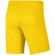 2. Nike Dry Park III NB K Herrenshorts Gelb BV6855 718