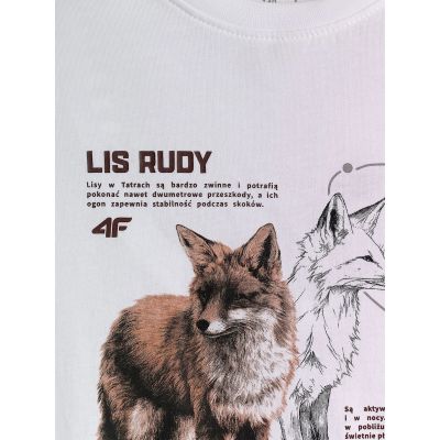 4. Jungen-T-Shirt mit Aufdruck, regulär, Größe 4F 4FJKAW26TTSHM4452-10S