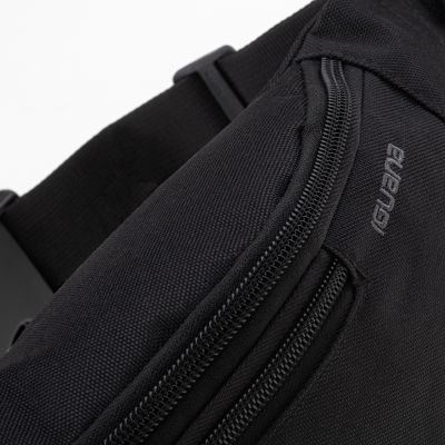 4. Iguana Icebelt 5817 Niere