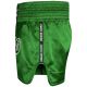 9. Herren-Thai-Shorts PASTEL GREEN V2 COMBATWEAR | DBX Bushido