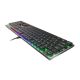 5. GENESIS Thor 420 RGB Gaming-Tastatur USB AZERTY US-Englisch Silber