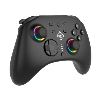 2. Deltaco Controller 2 C Taste RGB Wireless schwarzer Schalter