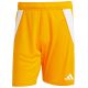 9. adidas Tiro 24 M JN4497 Shorts