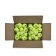 5. Wilson Triniti Club Tennisball WR8201501001