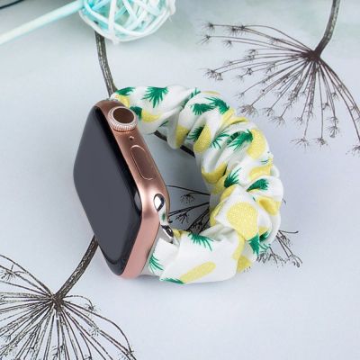 2. Stoffarmband für Apple Watch 38 / 40 / 41 mm Armband Gummiband - Ananas