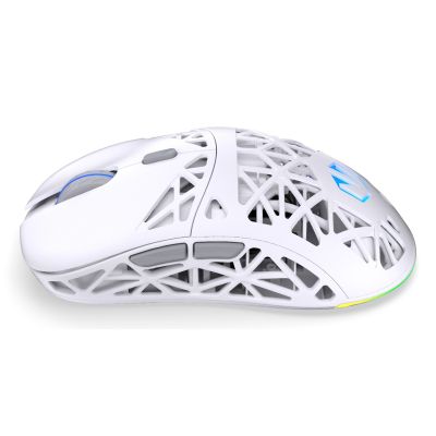 22. ENDORFY LIV Plus Kabellose Gaming-Maus in Onyxweiß, beidhändig bedienbar, Bluetooth, optisch, 26000 DPI