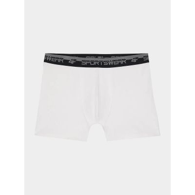 2. Boxershorts 4F M 4FWSS24UBXSM036-10S