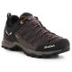 2. Salewa Mtn Trainer Lite GTX M 61361-7512 Trekkingschuhe