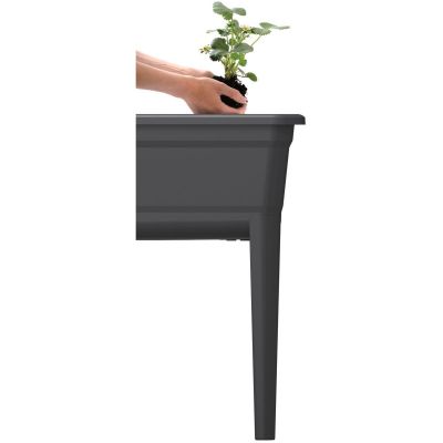 45. Stehendes Gewächshaus-Saatbeet Respana Set Ecoline 59,6 x 36,8 x 75,3 cm Anthrazit