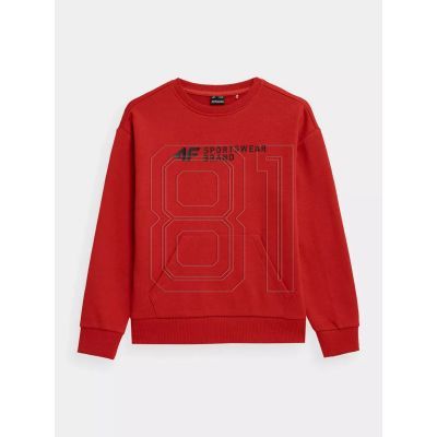 13. 4F Jr Sweatshirt 4FJSS23TSWSM222-62S