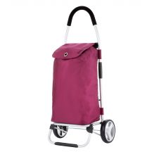 Klassischer Premium-Einkaufswagen 604319